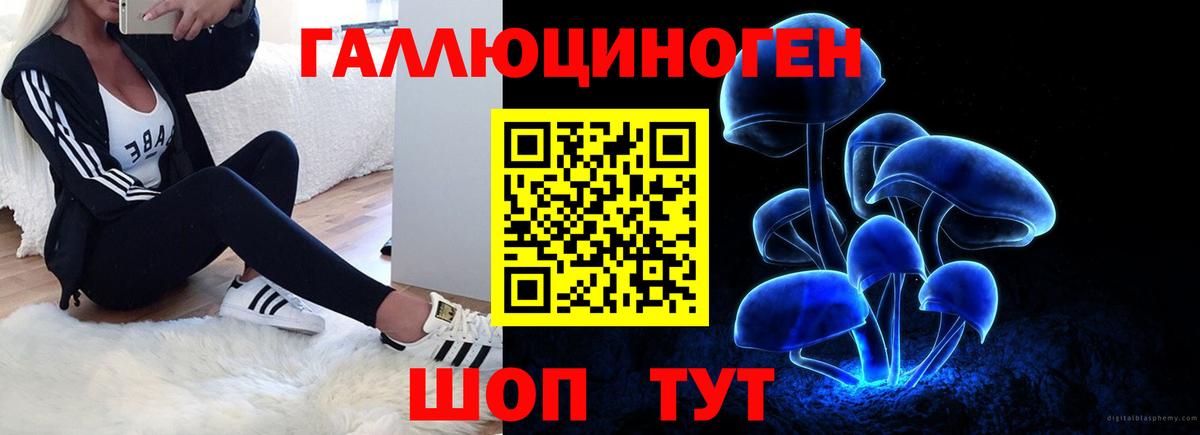 Галлюциногенные грибы MAGIC MUSHROOMS  Вход с VPN  Жигулёвск 